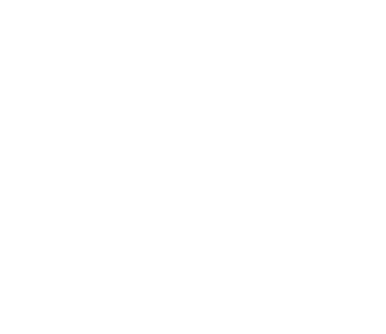 dentsu AEGIS network